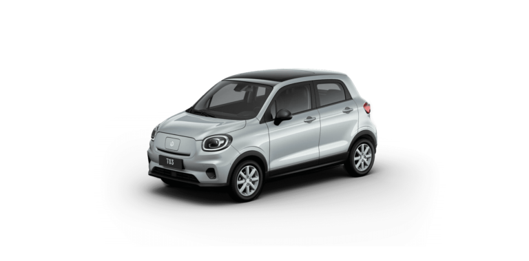 Performans 3 silvery-black-smile