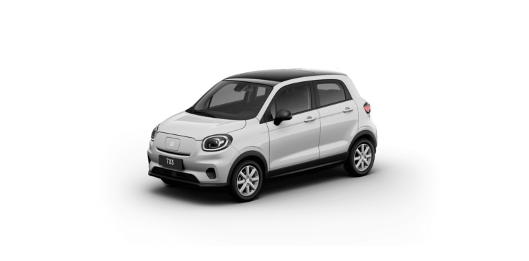 Performans 1 white-black-smile